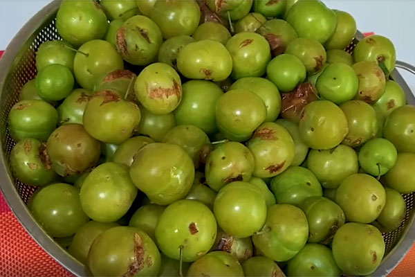 گوجه سبز شسته شده برای لواشک