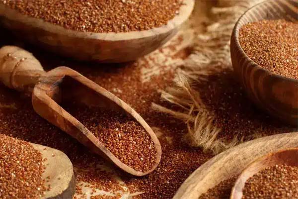 یک مثقال خاکشیر