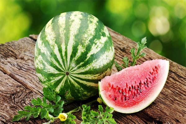 هندوانه چیست