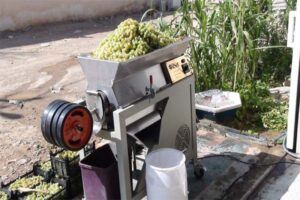 آبغوره گرفتن با دستگاه در تهیه آبغوره