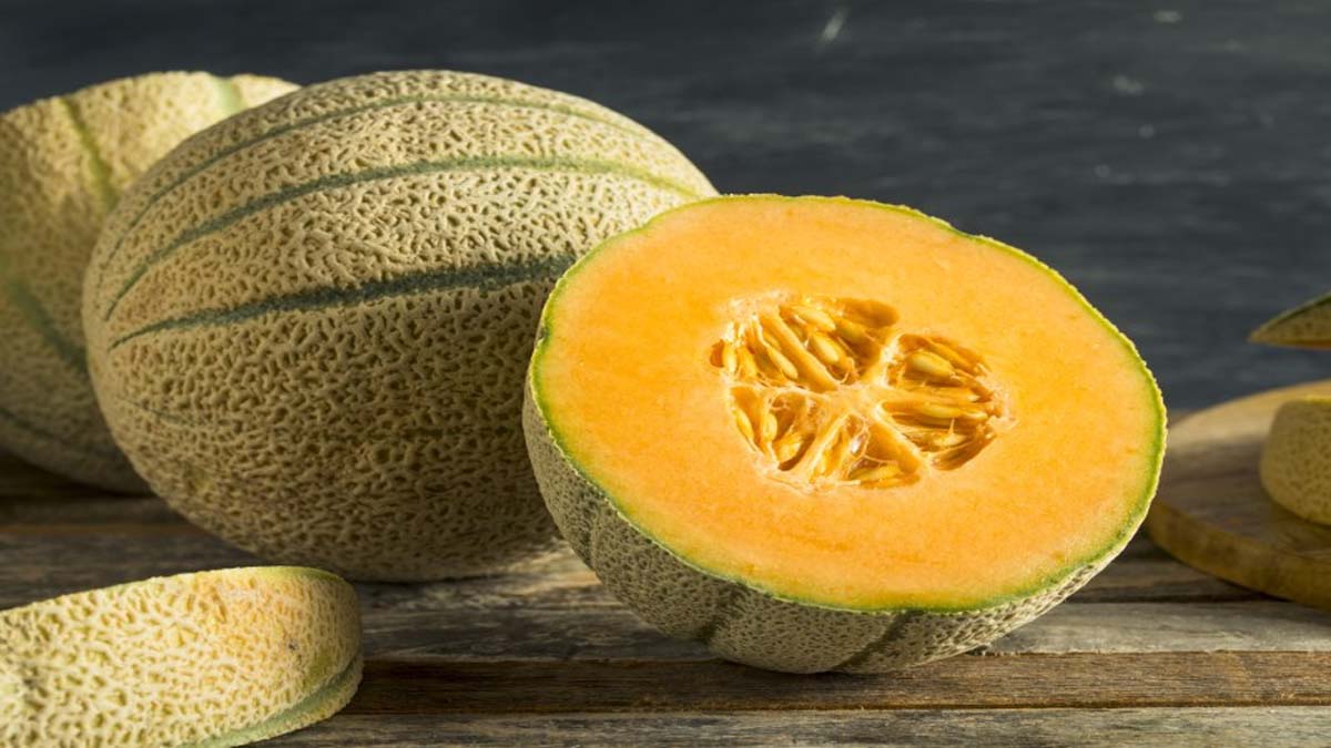 خواص گرمک