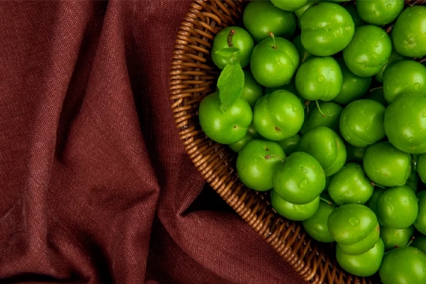 شستن گوجه سبزها در تهیه رب گوجه سبز