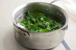 شوک حرارتی به برگ های نعنا برای تهیه شربت نعنا