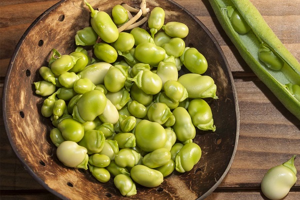یک ظرف باقالی تازه