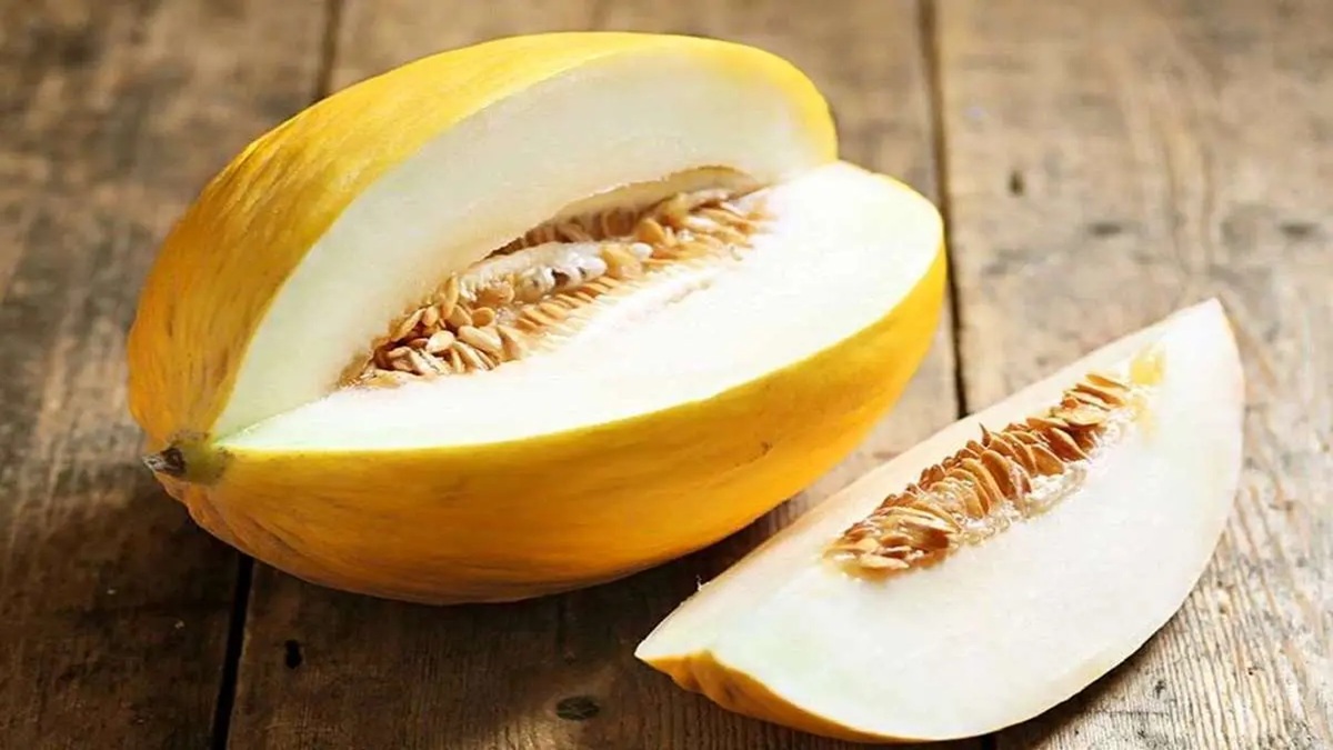 خواص خربزه