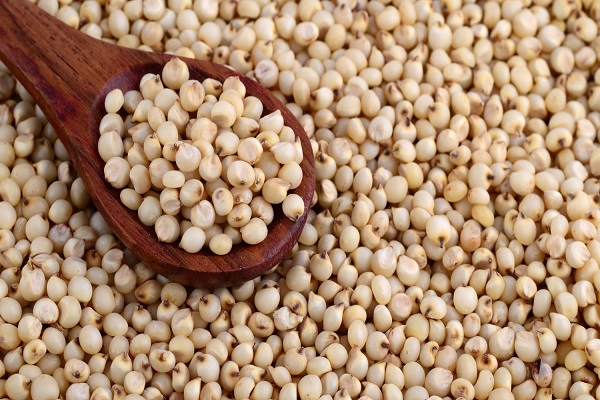 دانه های کینوا