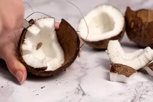 جدا کردن گوشت نارگیل از پوستش برای تهیه روغن نارگیل