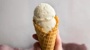 طرز تهیه بستنی خانگی با شیر