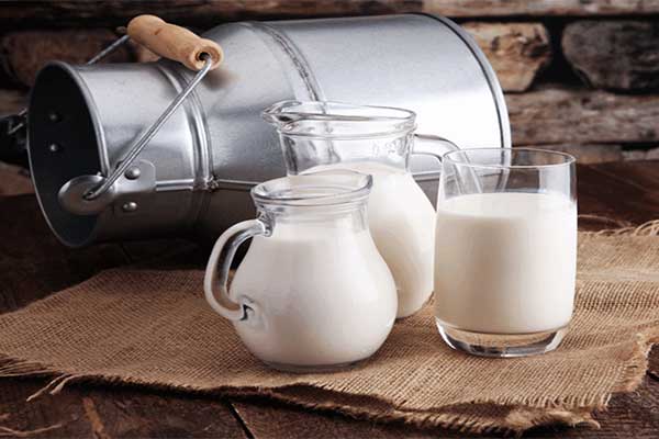 نقش شیر در تقویت سیستم ایمنی بدن