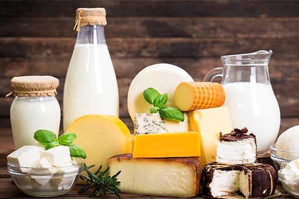 شیر و پنیر برای افزایش ایمنی بدن