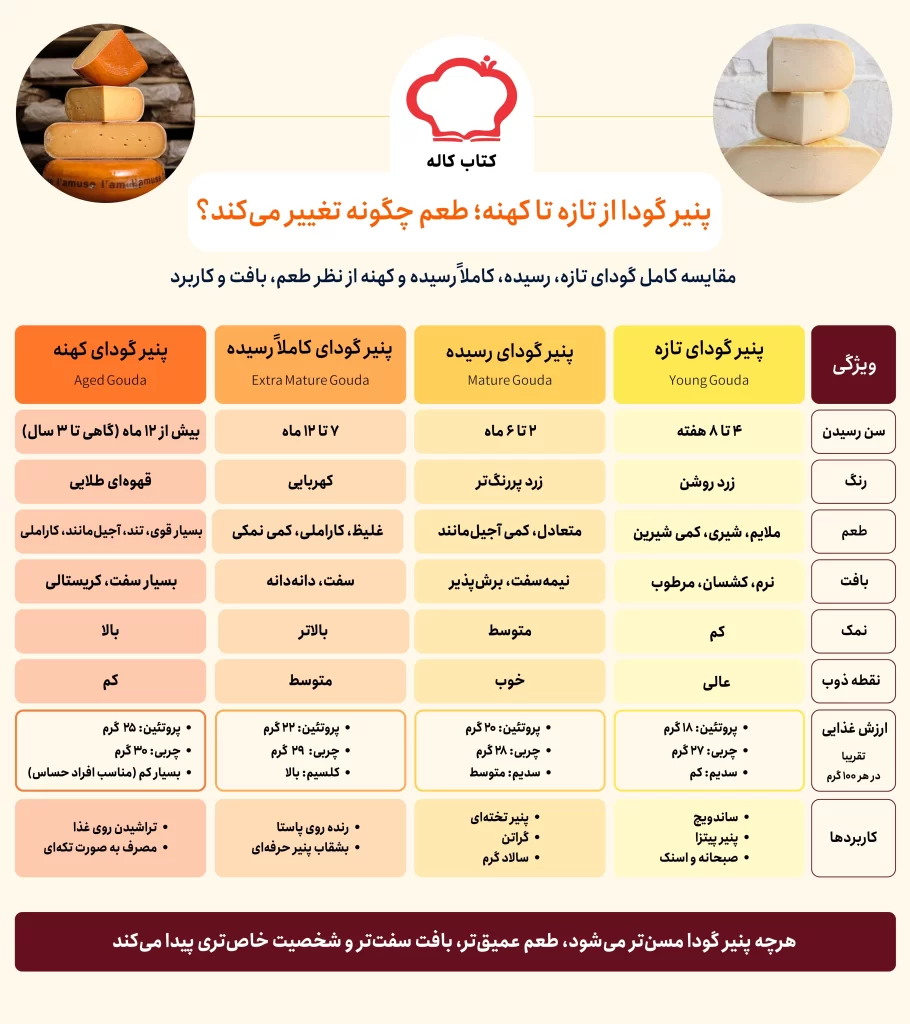 اینفوگرافیک انواع پنیر گودا