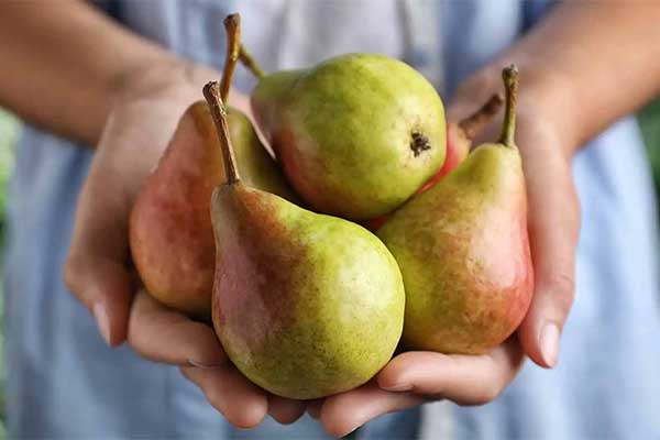 گلابی برای سلامت بدن