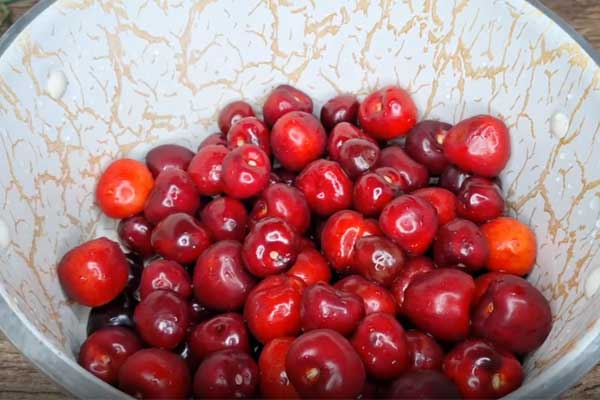شستن گیلاس‌ها برای درست کردن شربت گیلاس