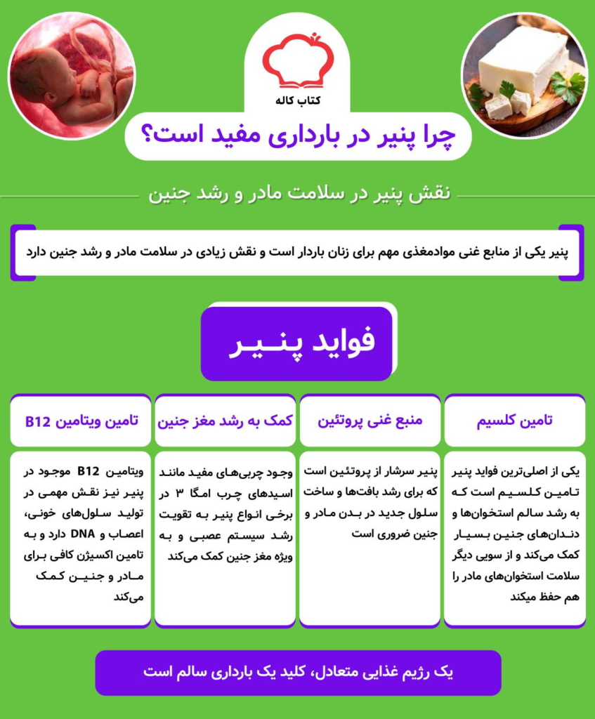 فواید پنیر در دوران بارداری