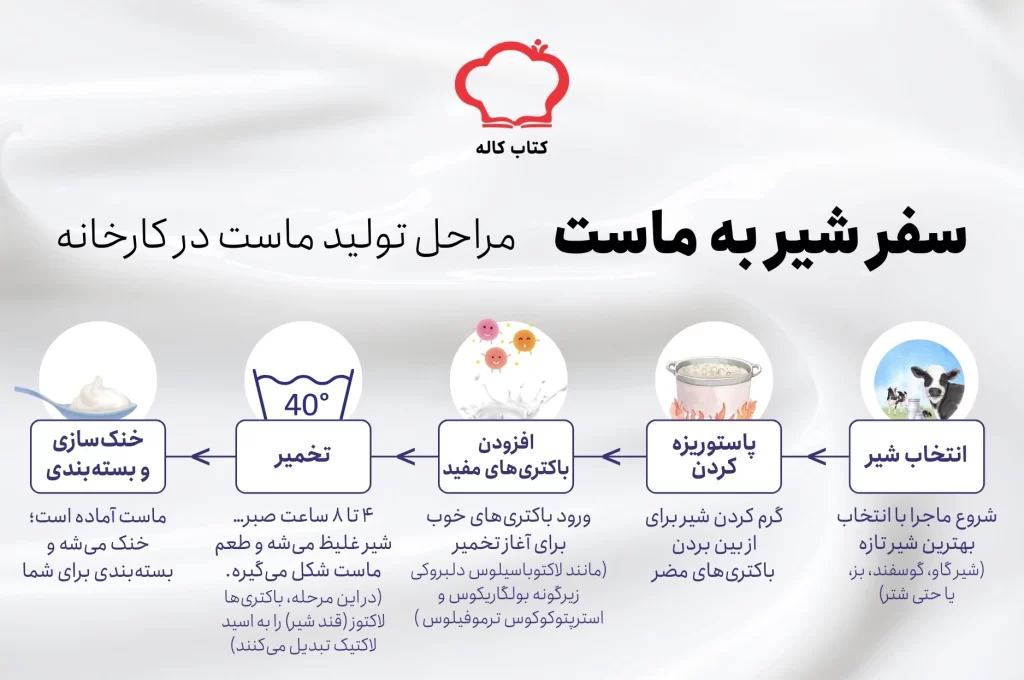 اینفوگرافیک مراحل تولید ماست در کارخانه