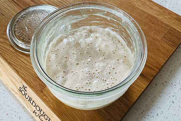 عمل آوردن خمیر مایه در تهیه نان پیتا مخصوص شاورما