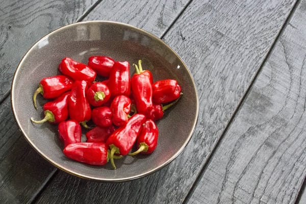 یک کاسه فلفل حلب