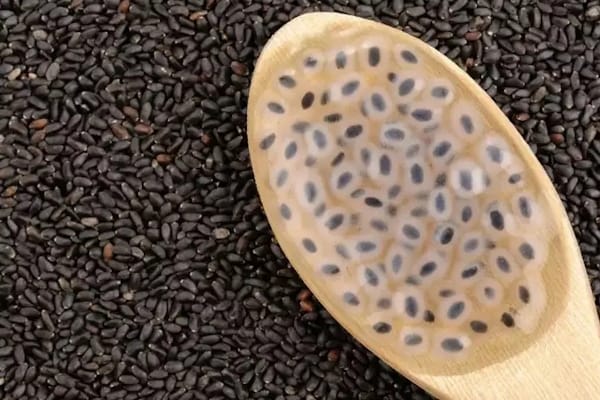 تخم شربتی به سلامتی قلب کمک می کند