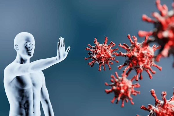 یکی از خواص بلوبری محافظت از بدن است