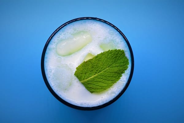 اضافه کردن دوغ به خورشت دوغ پا