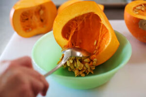 خارج کردن تخمه کدو حلوایی برای پوره