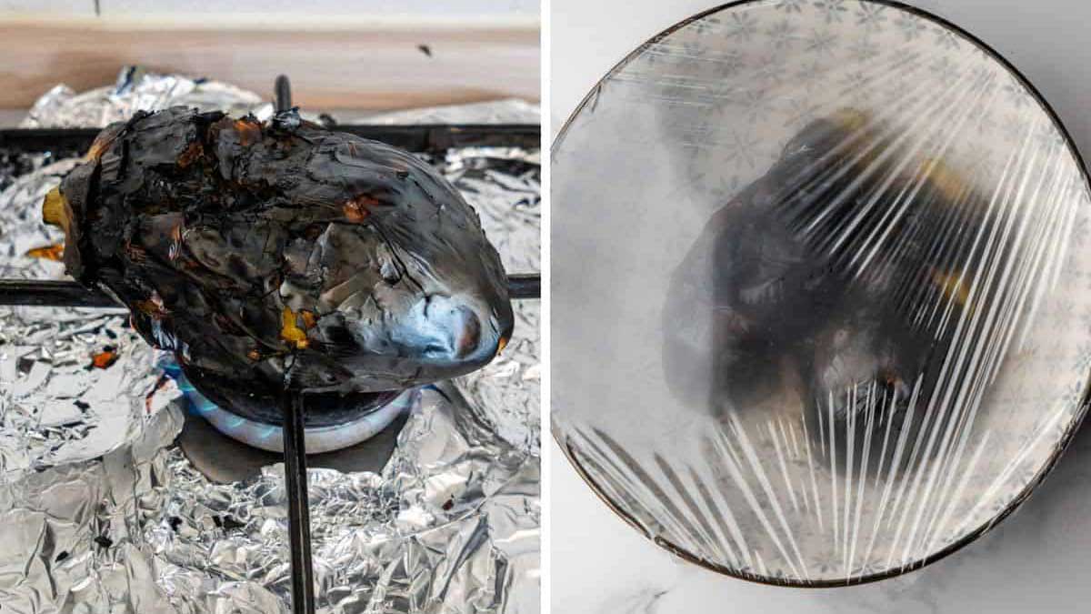 کباب کردن بادمجانها