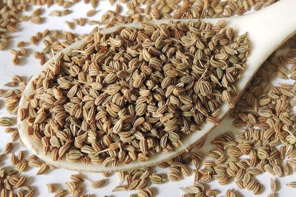دانه های زنیان که برای معده مفید هستند