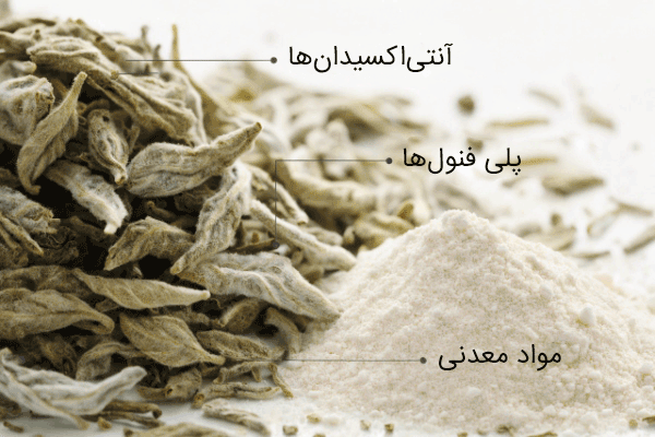 ترکیبات شیمیایی و ارزش غذایی چای سفید