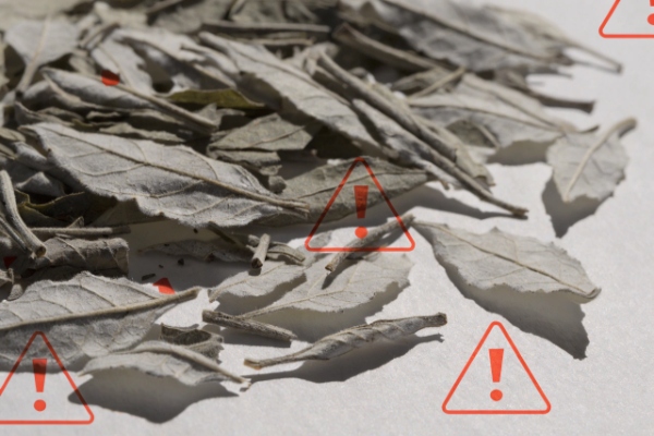 مضرات و محدودیت‌های مصرف چای سفید