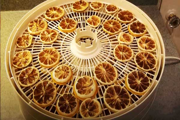 خشک کردن لیموعمانی با دستگاه میوه خشککن در منزل