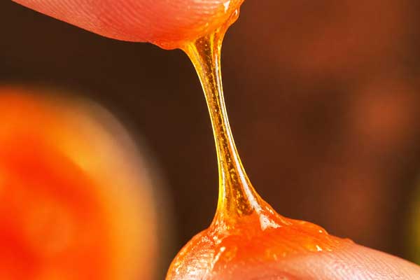 بررسی قوام مربا هویج مجلسی