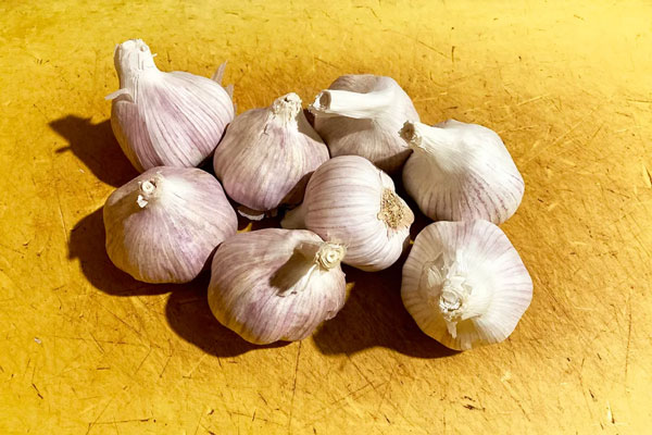 سیر تمیز برای تهیه سیر ترشی
