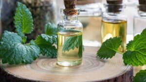 طرز تهیه عرق نعنا با دستگاه گلاب گیری