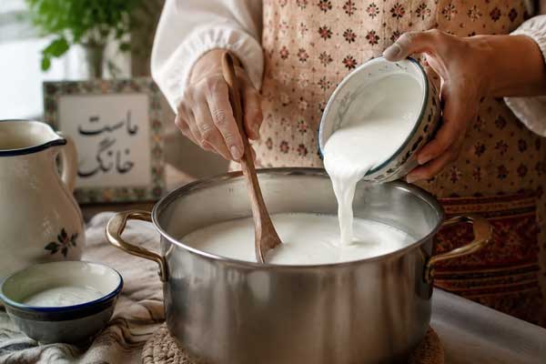 افزودن مایه ماست به شیر برای تهیه ماست گاوی