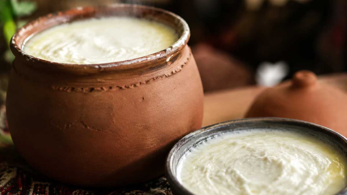 طرز تهیه ماست کوزه ای