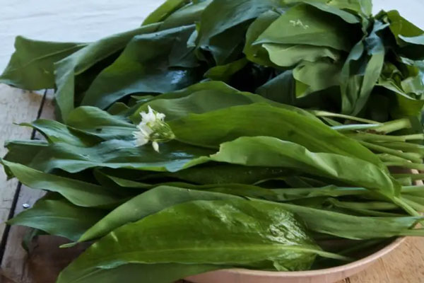 والک تمیز شده برای پخت والک پلو 