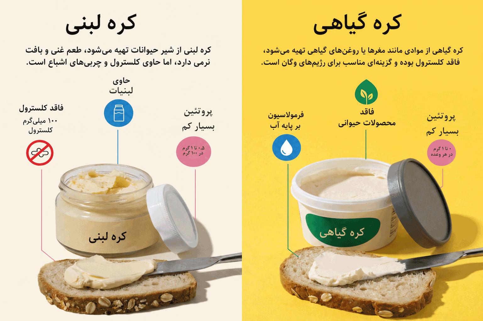 تفاوت کره حیوانی و کره گیاهی