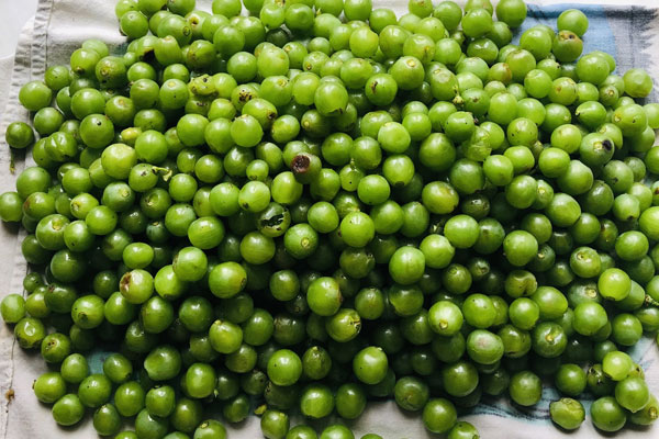 غوره های بدون چوب برای تهیه رب غوره
