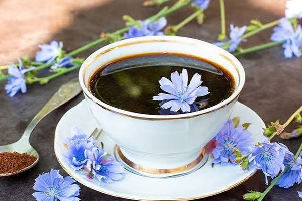 دمنوش عرق کاسنی