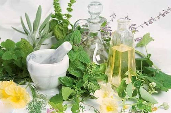 برگ چنار عرق خنک برای تابستان
