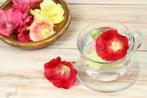 عرق ختمی نوشیدنی خنک تابستانی