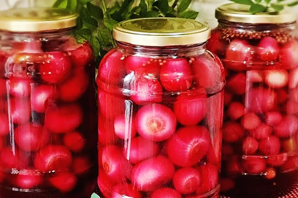 ترشی پیاز قرمز یکی از انواع طرز تهیه ترشی فصل تابستان