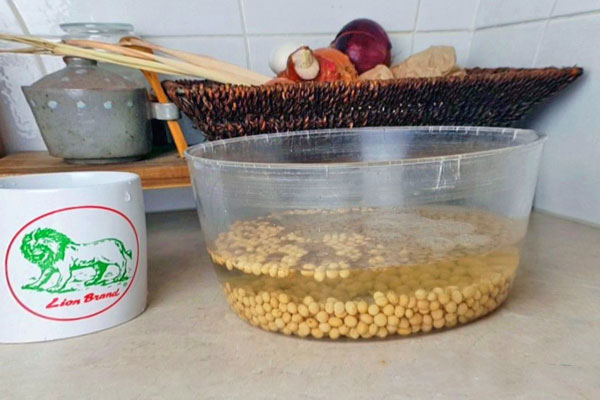 خیساندن سویای خشک در تهیه شیر سویا با سویا خشک