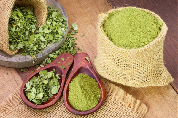پودر و برگ خشک مورینگا