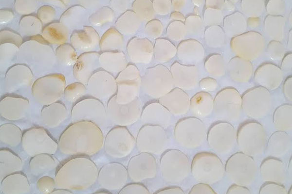 موسیر خرد شده روی دستمال