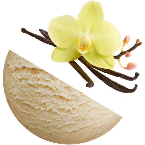 Vanilla special ice cream