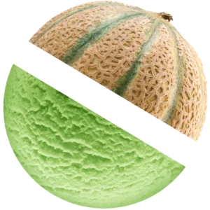 Cantaloupe ice cream