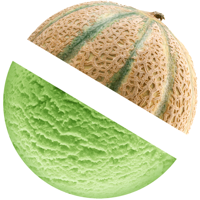 Cantaloupe