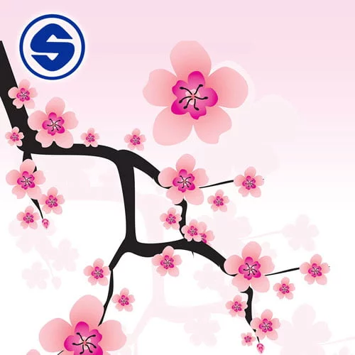 پیام تبریک آقای سلیمانی