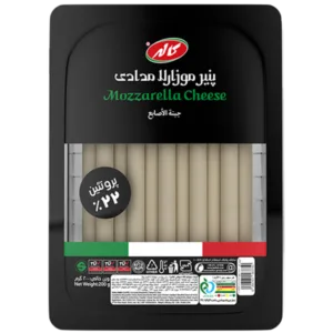 پنیر موزارلا مدادی